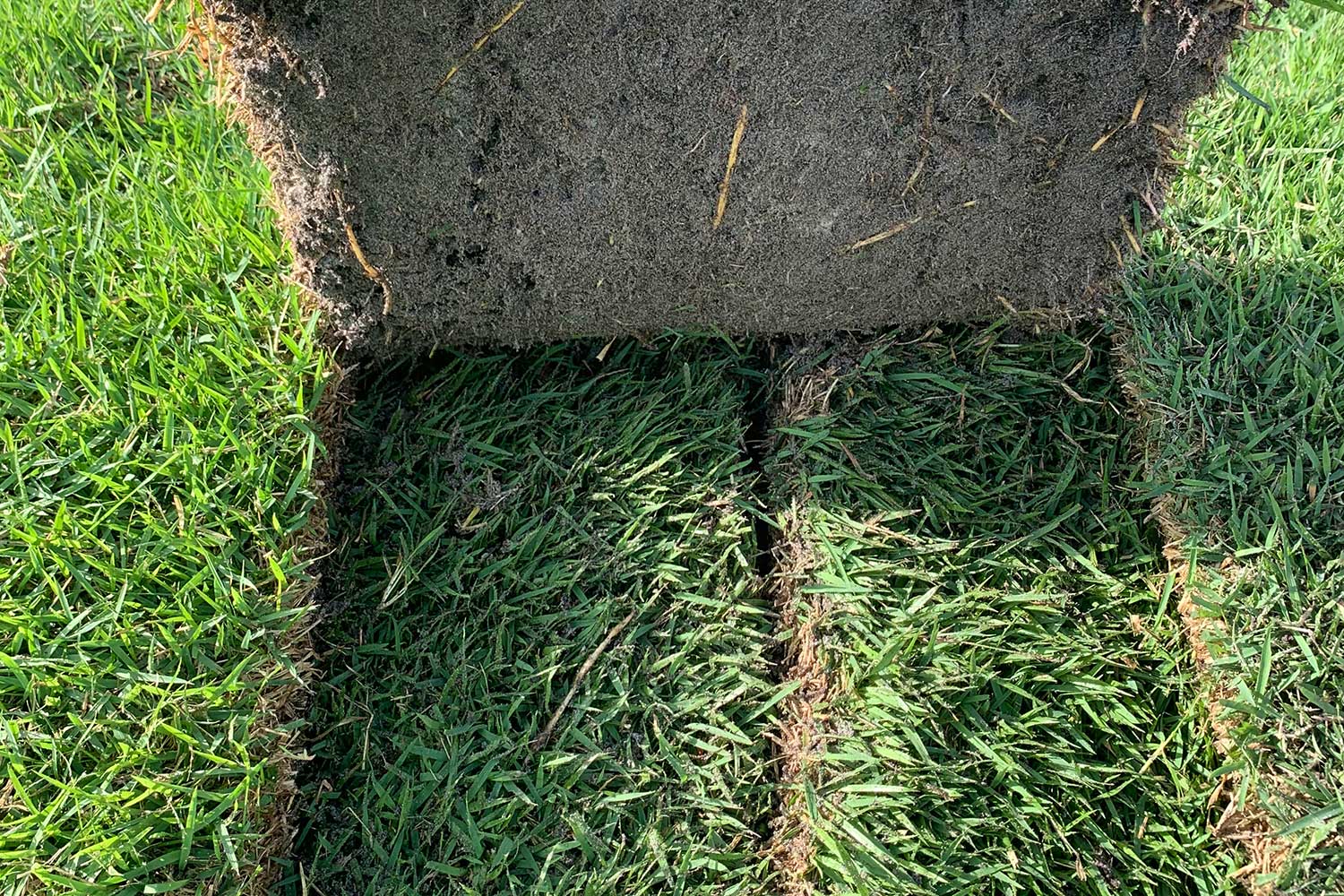 Empire Zoysia Pallets