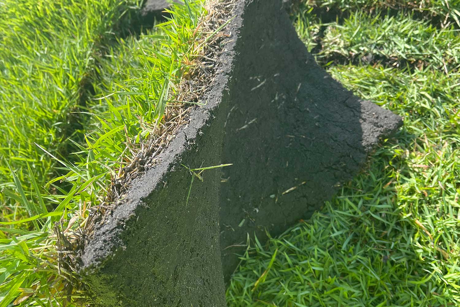 Empire Zoysia Pallets