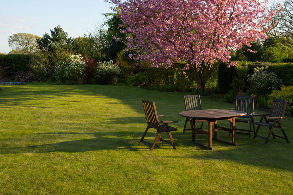 4 Winter Lawn Care Tips for the Southeast