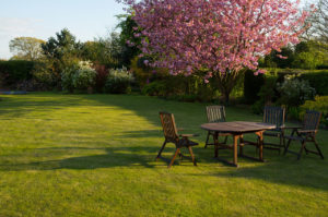 4 Winter Lawn Care Tips for the Southeast