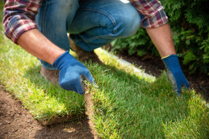 Installing turf rolls in the garden