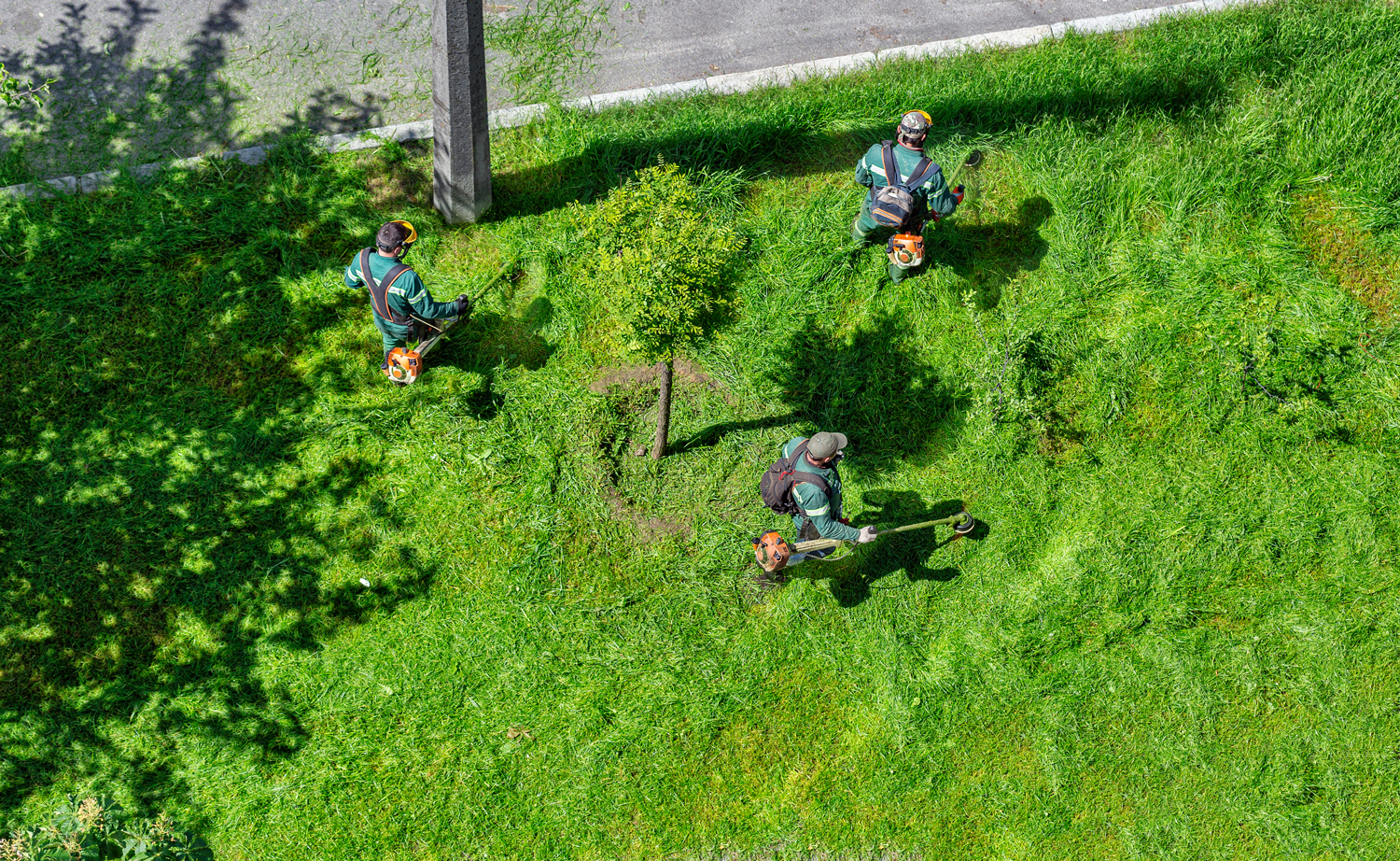 Sod Near Me Large Landscapers